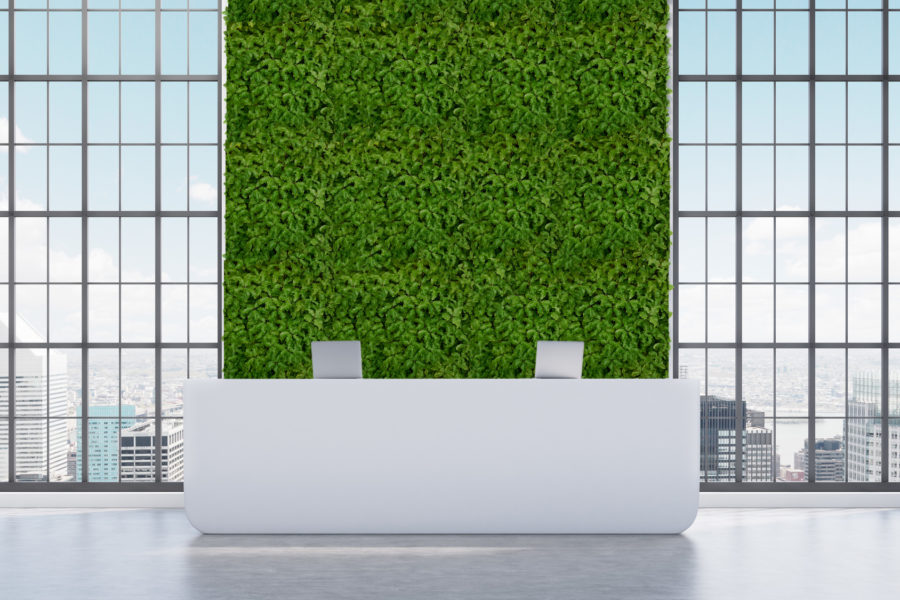 Green wall 01