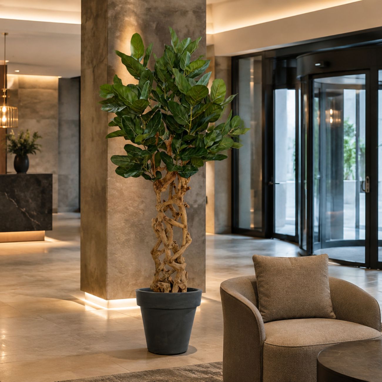 Plant 02