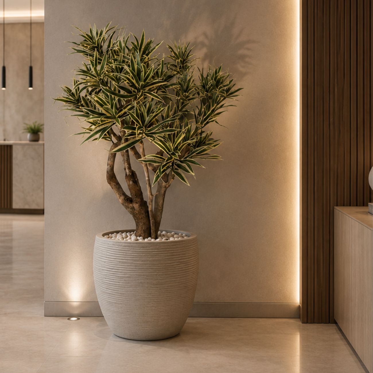 Plant 04